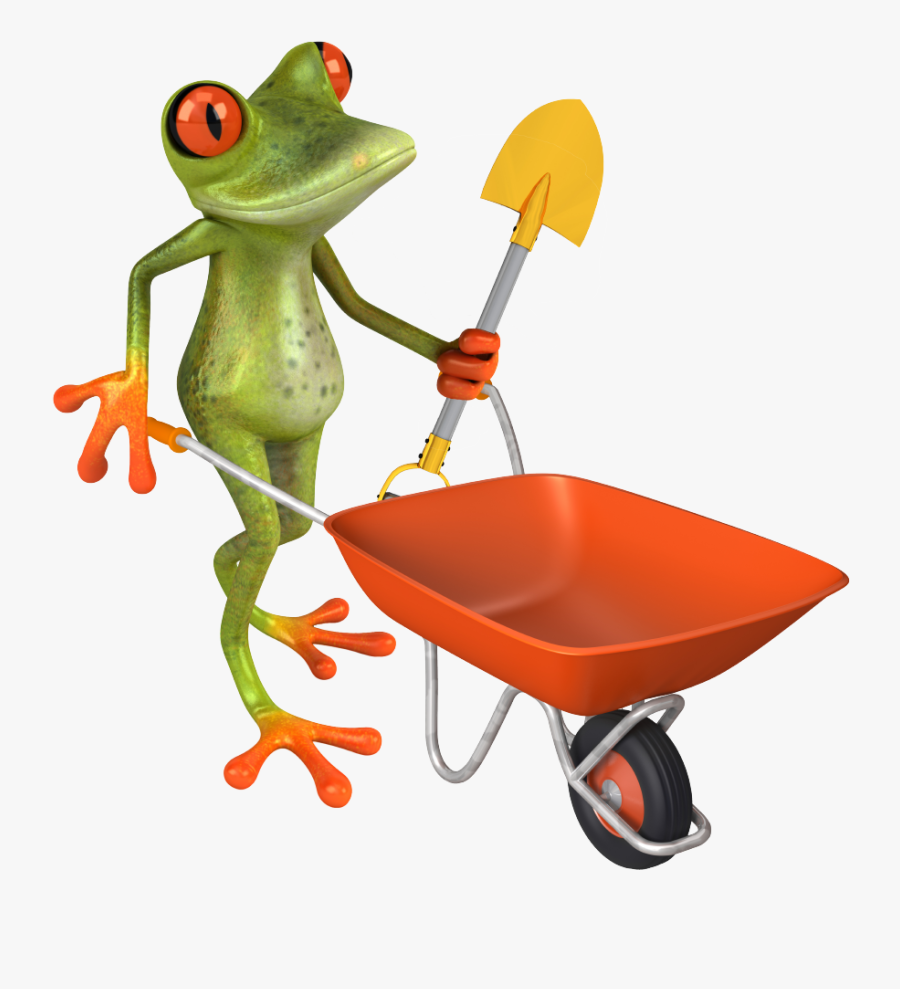 Lawn Care Frog - Red-eyed Tree Frog, Transparent Clipart