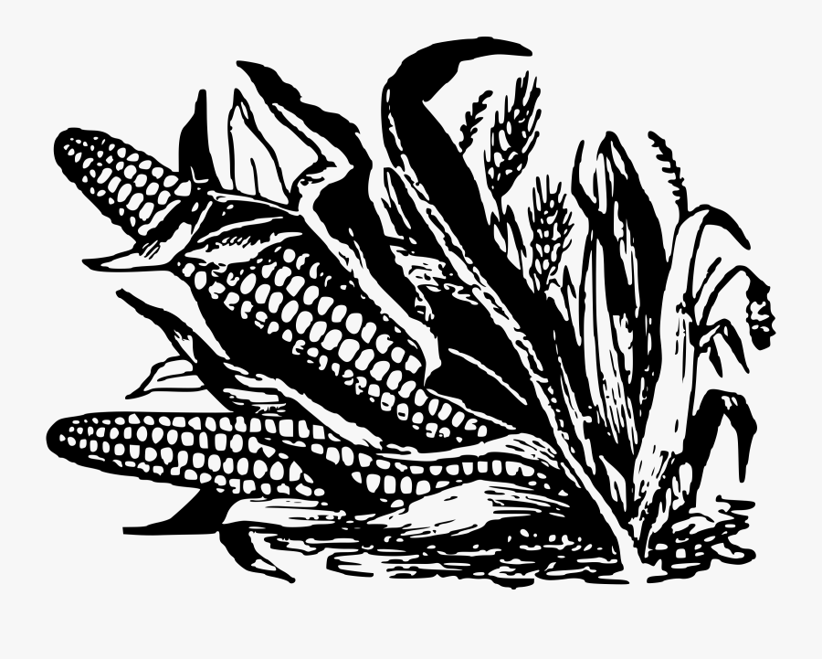 Corn Clipart Black And White - Corn Tree Png Black And White, Transparent Clipart