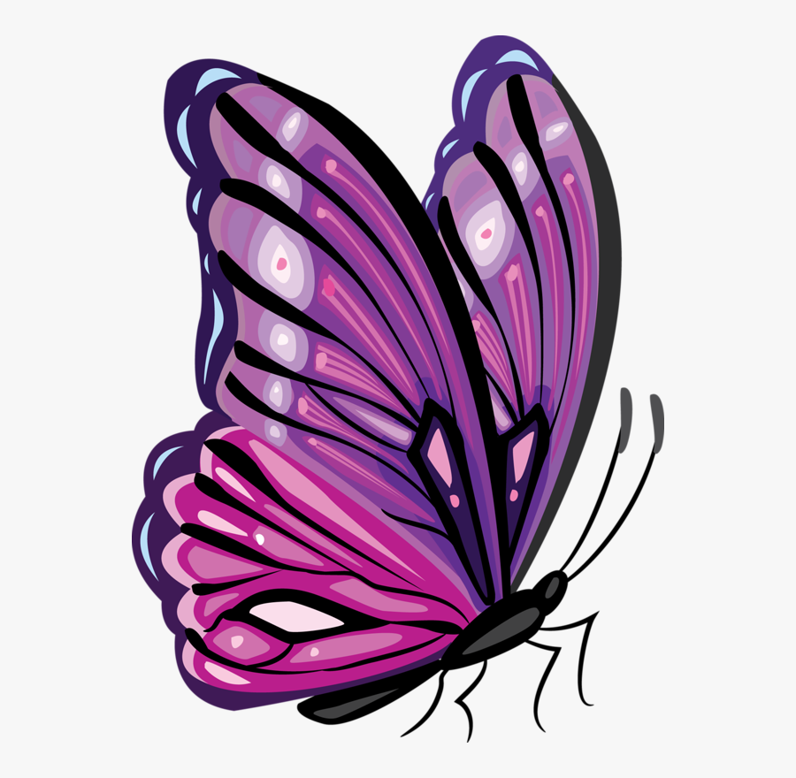 Photography Clipart Butterfly - Purple And Pink Butterfly Png, Transparent Clipart