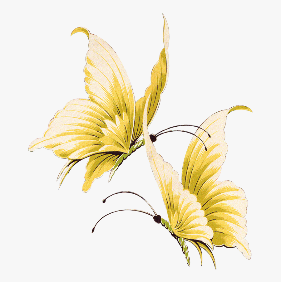#mq #yellow #butterfly #butterflys - Gold Butterfly Transparent Background, Transparent Clipart