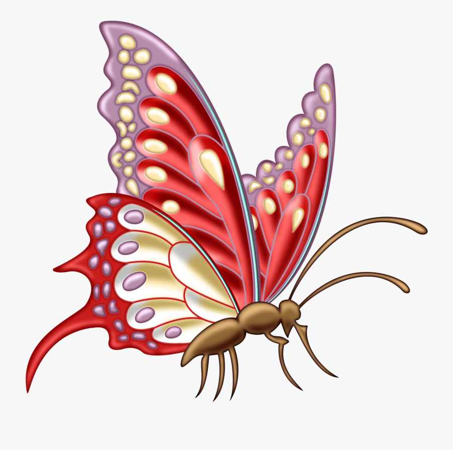 Clipart Insect Drawing Butterfly Png - Butterfly Designs For Assignment, Transparent Clipart