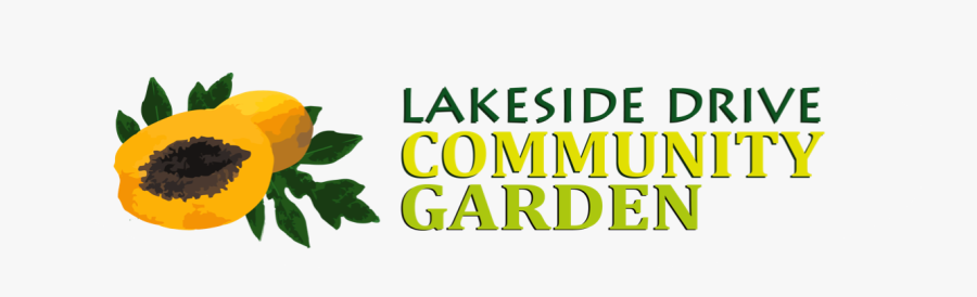 Graphic Design, Transparent Clipart