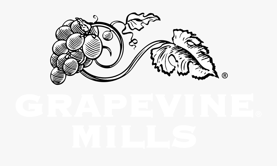 Grapevine Vector Black And White - Grape Vine Vector Clipart, Transparent Clipart