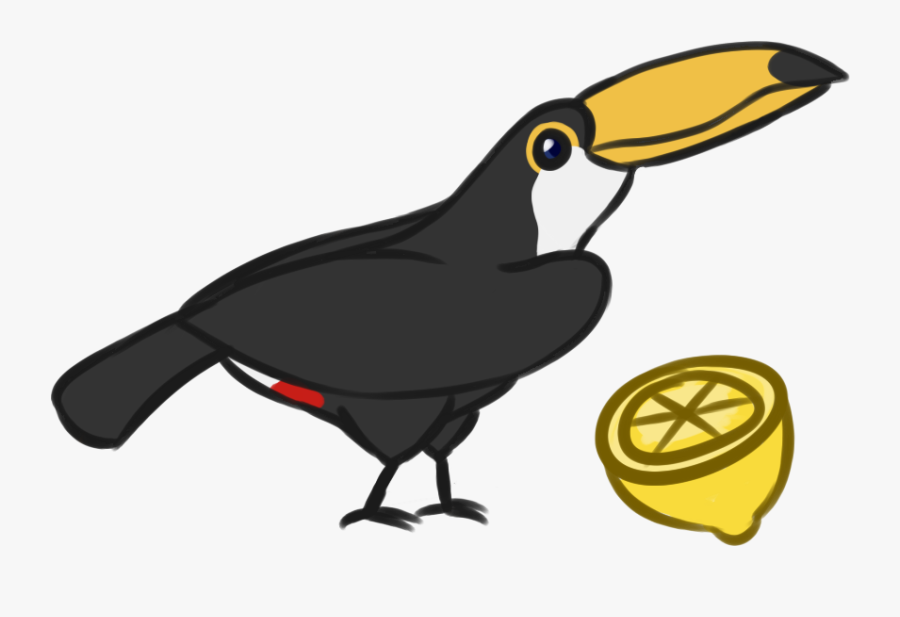 Jungle Clipart Toucan - Toucan, Transparent Clipart