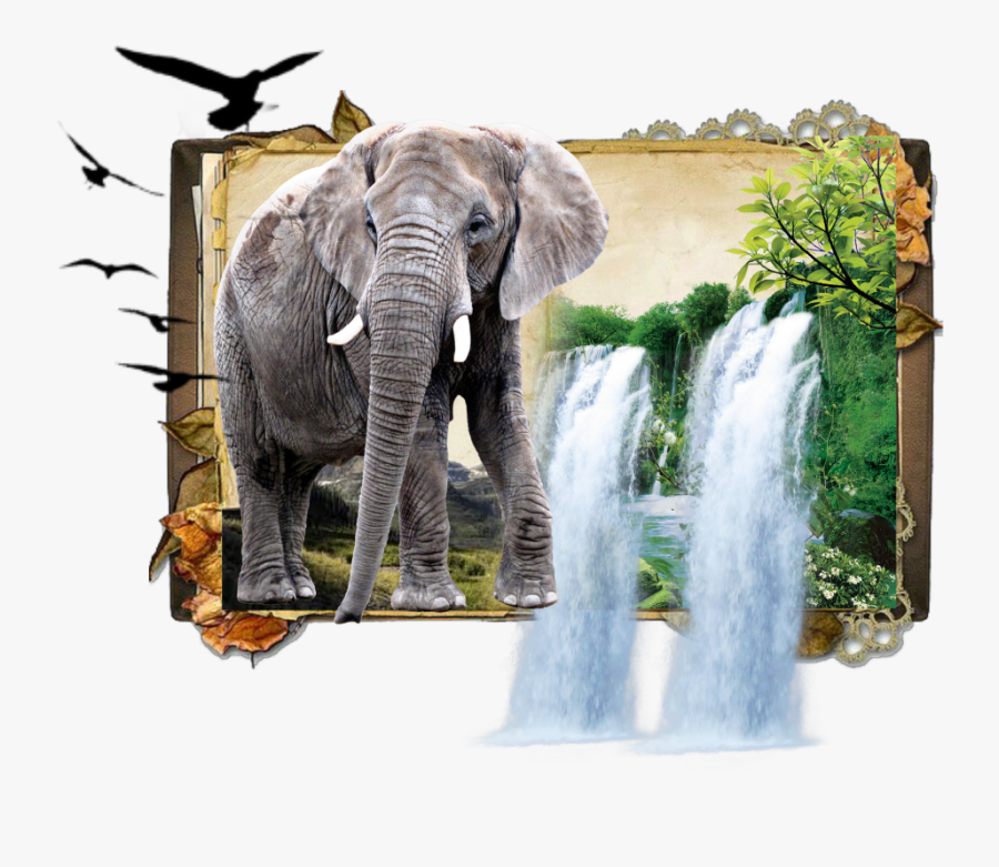 #elephant #jungle #book #dk925 #dk925designs - Open Book Parchment, Transparent Clipart