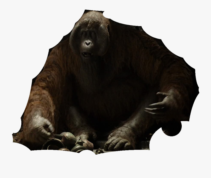 Jungle Book 2016 Disneyscreencaps - American Black Bear, Transparent Clipart