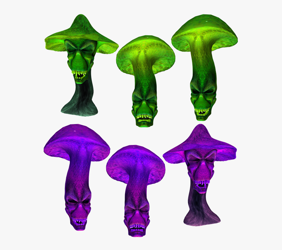 Transparent Mushrooms Png - Agaricaceae, Transparent Clipart