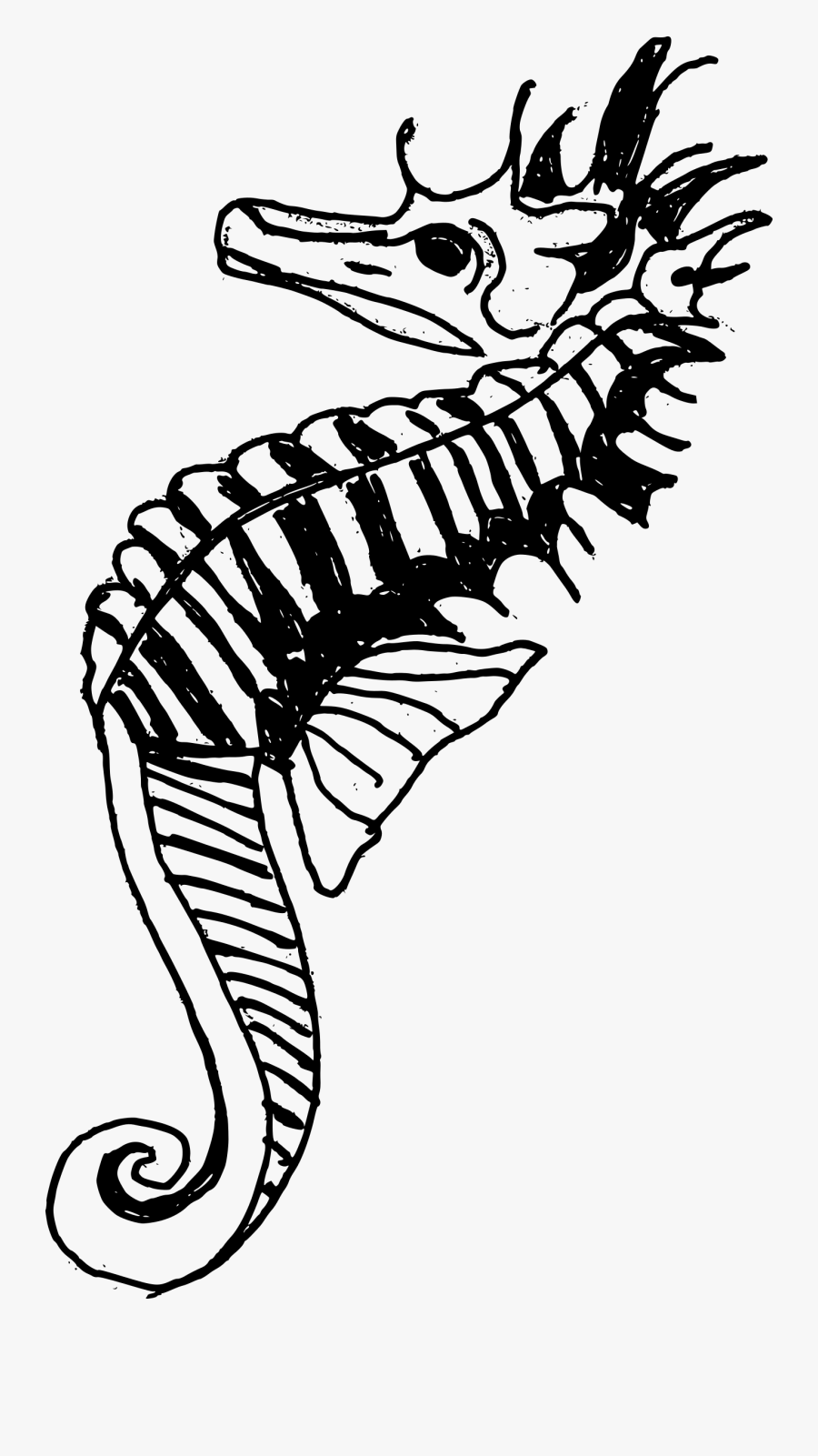 Drawing Seahorse Rainbow - Illustration, Transparent Clipart