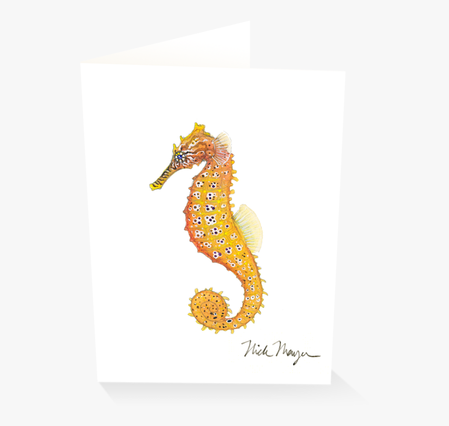 Drawing Seahorse Pacific - Northern Seahorse, Transparent Clipart