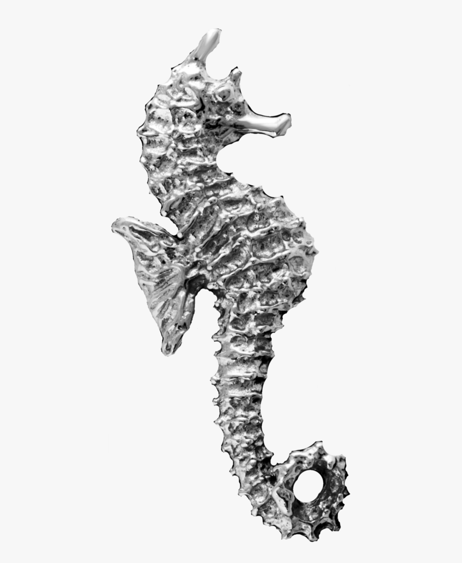 Non-pierced Ear Cuff Earrings - Seahorse Ears, Transparent Clipart