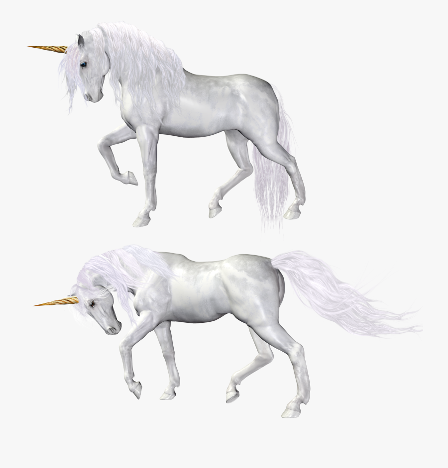 Unicorn Png - Kill A Unicorn, Transparent Clipart