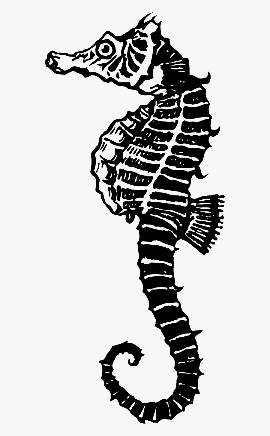 Illustration, Transparent Clipart