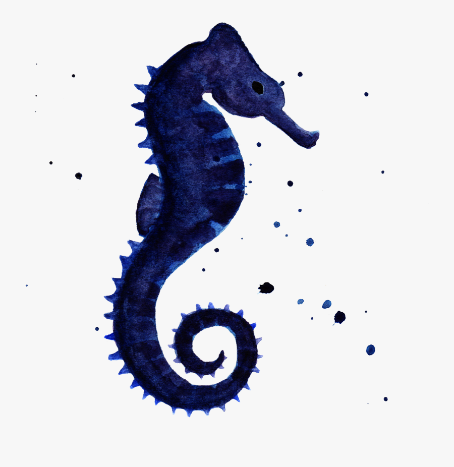 Drawing Seahorse Sea Life - Seahorses Silhouette Png, Transparent Clipart