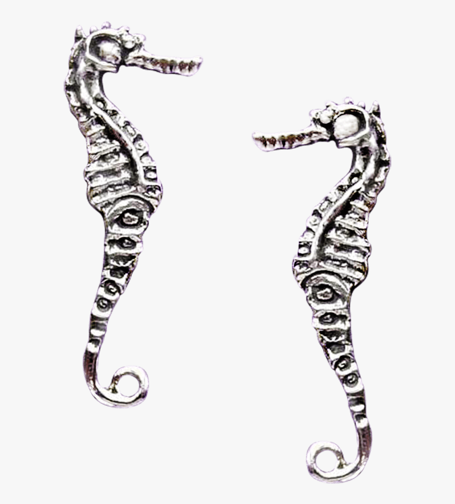 Transparent Seahorse Png - Northern Seahorse, Transparent Clipart