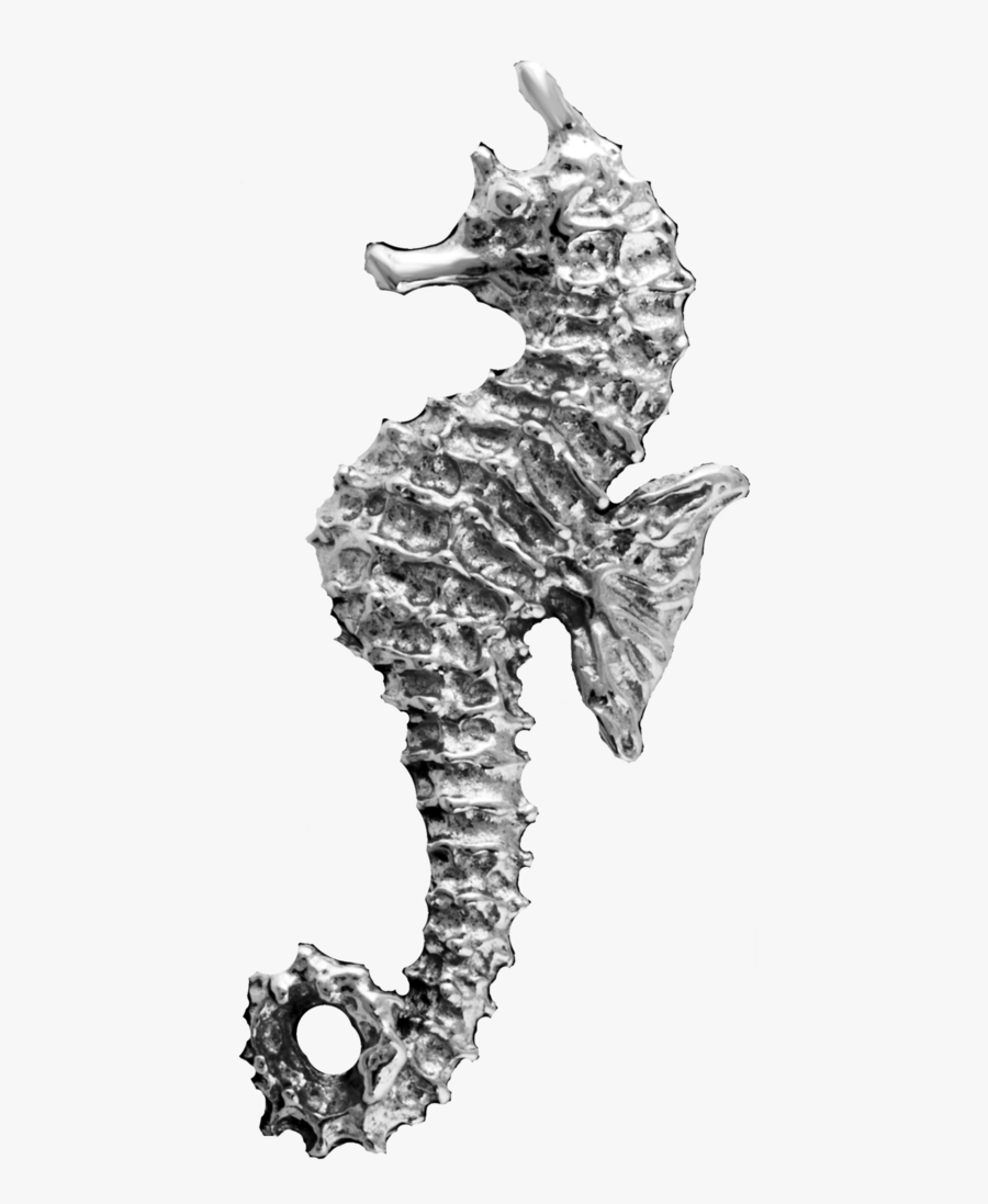 Non-pierced Ear Cuff Earrings - Seahorse Ears, Transparent Clipart