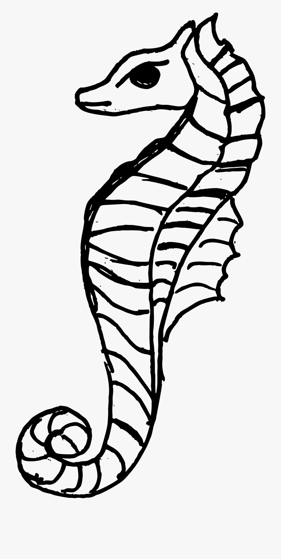 Drawing Seahorse Antique, Transparent Clipart