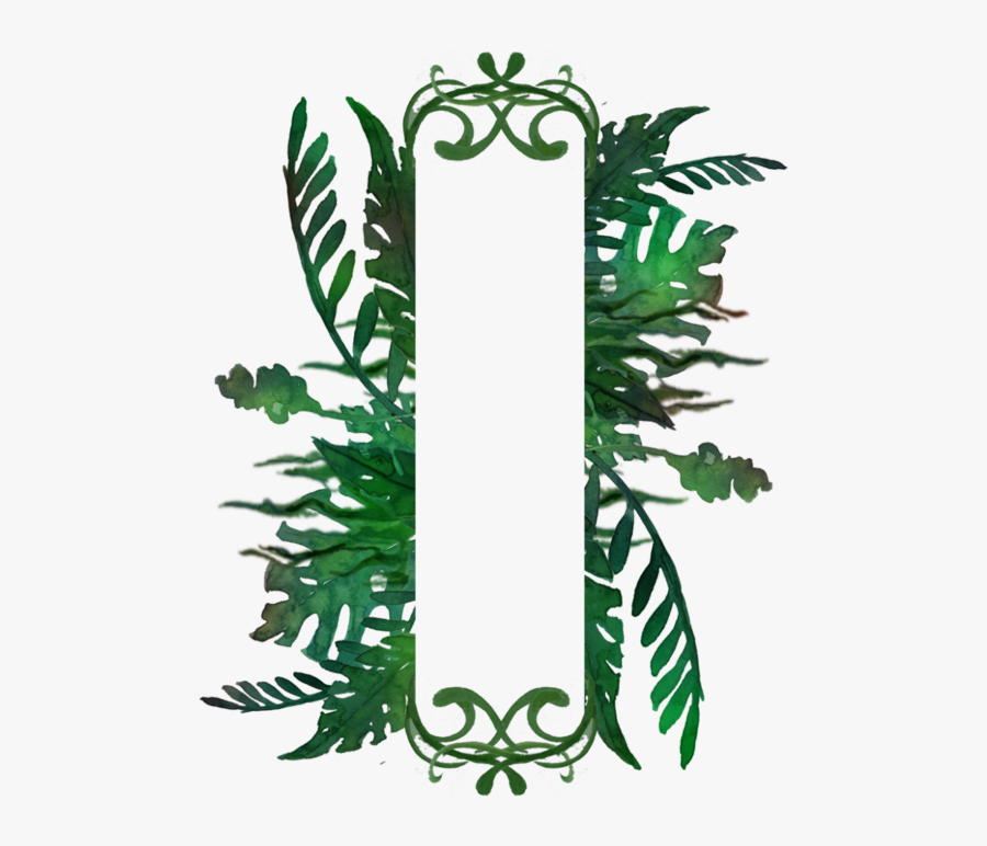 Transparent Jungle Frame Png - Illustration, Transparent Clipart