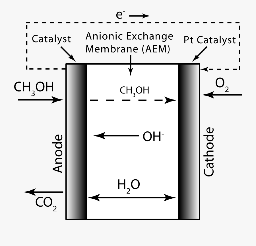 Cells Clipart Simple - Alkaline Direct Methanol Fuel Cell, Transparent Clipart