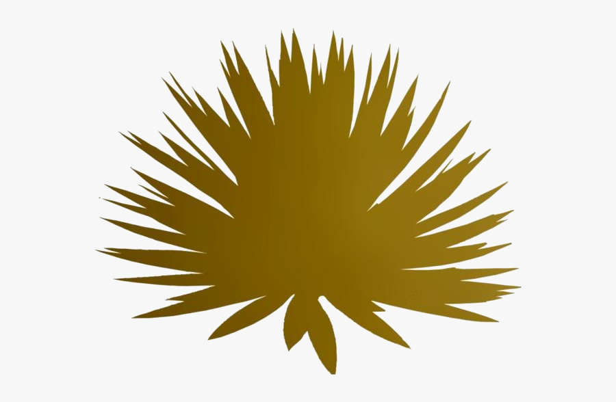 Agave Plant Png Transparent Images - Illustration, Transparent Clipart