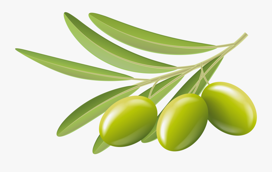Green Transparent Clip Art - Olives Clipart Png, Transparent Clipart