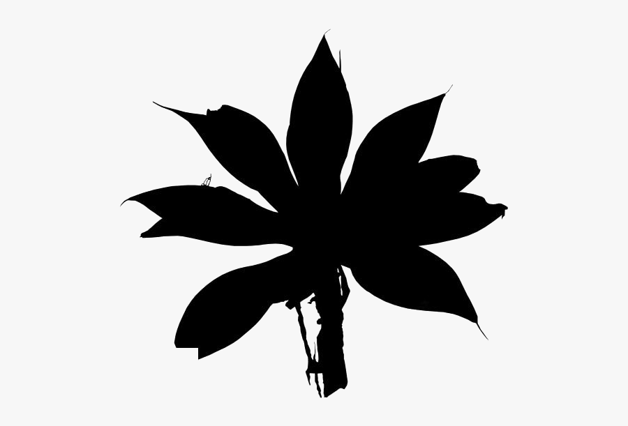 Agave Cactus Image With Transparent Background - Illustration, Transparent Clipart