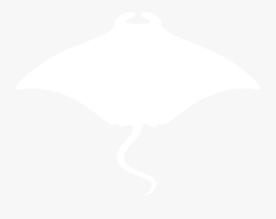 Manta Ray Silhouette By Paperlightbox - White Silhouette Manta Ray, Transparent Clipart