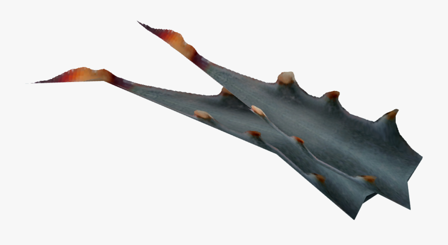 Nevada Agave Fruit - Agave Fnv, Transparent Clipart