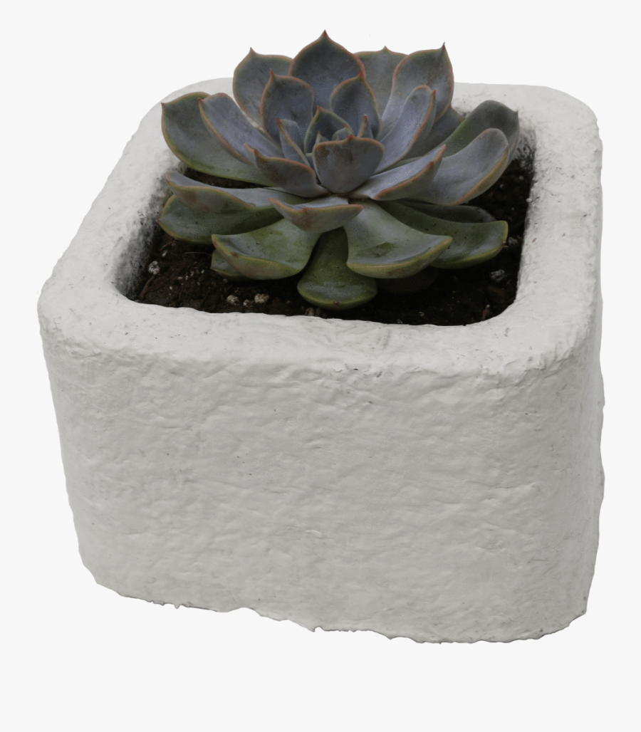 Transparent Pot Png - Myco Foam, Transparent Clipart