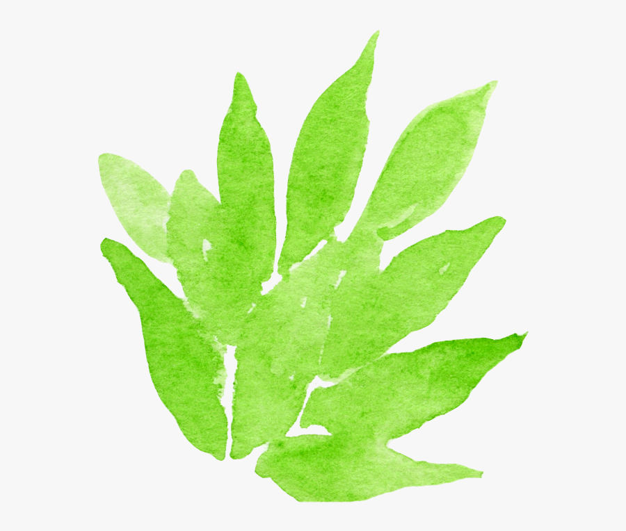 Transparent Watercolour Png - Agave, Transparent Clipart