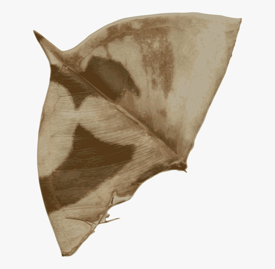 Umbrella, Transparent Clipart