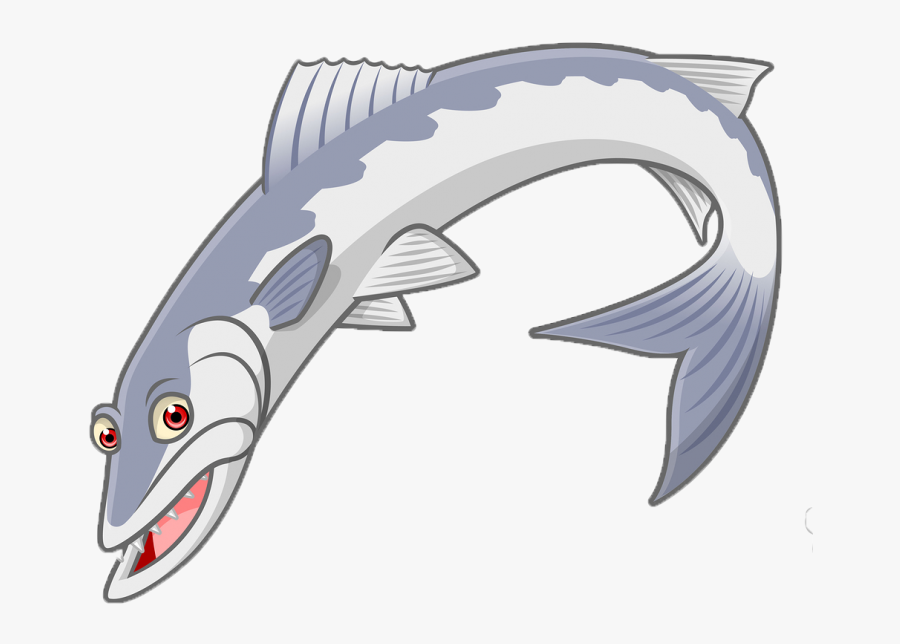 Barracuda Cartonn, Transparent Clipart