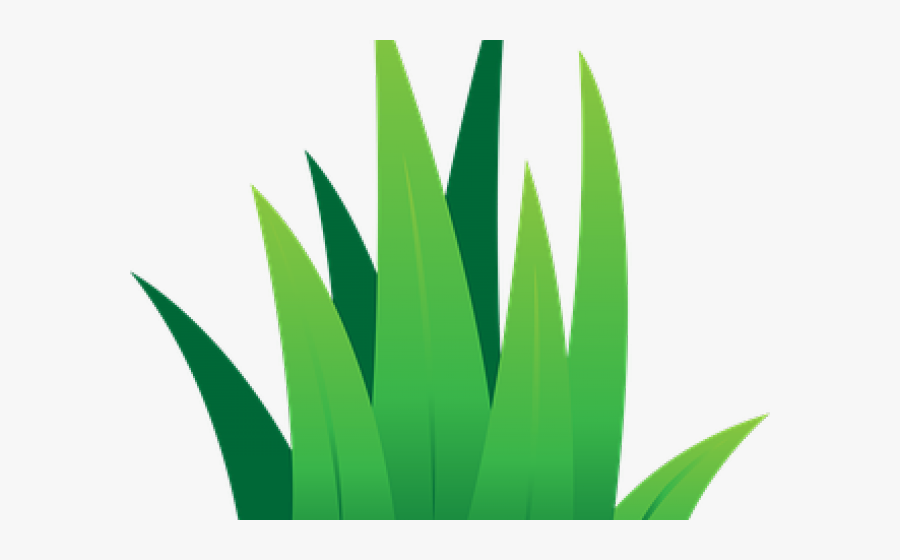 Clipart Grass, Transparent Clipart