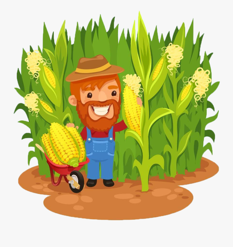 Maize Farmer Field Corn Clip Art - Corn Harvesting Clipart, Transparent Clipart