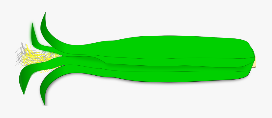 Plant,leaf,food - Illustration, Transparent Clipart