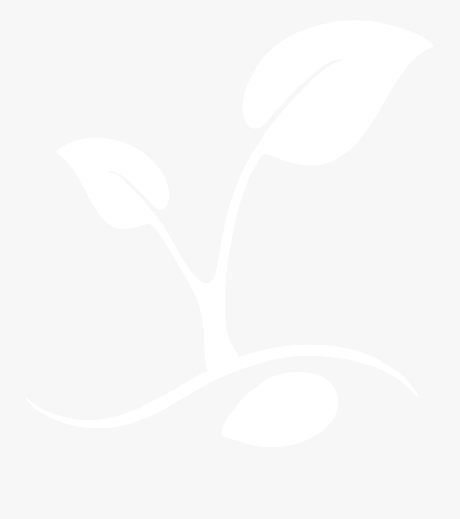 Still Life Photography, Transparent Clipart