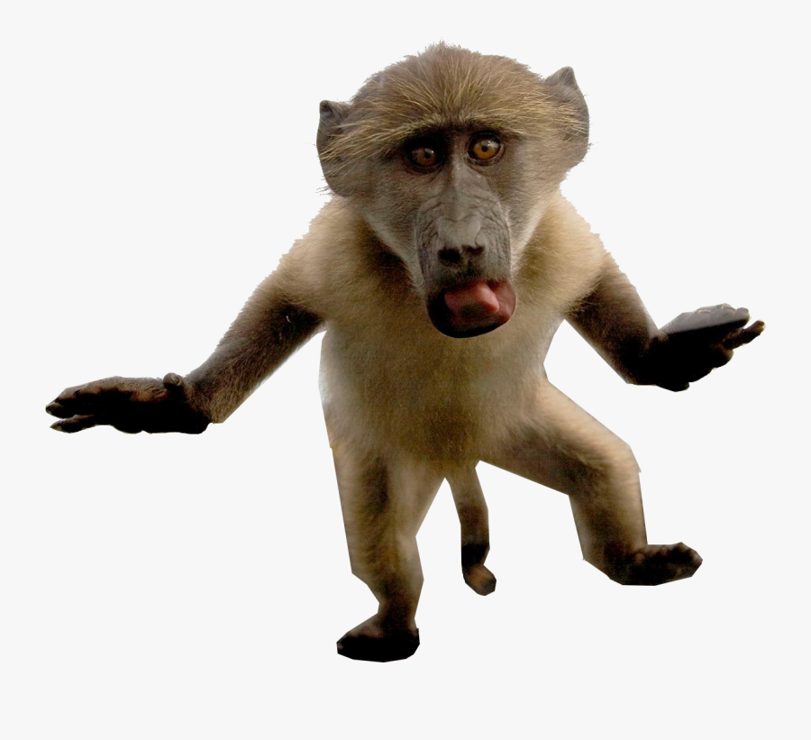 Clip Art Png Transparent Free Download - Portable Network Graphics, Transparent Clipart