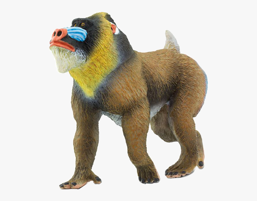 #monkey #baboon #mandrill #safariltd #freetoedit #scmonkey - Baboon Toy, Transparent Clipart