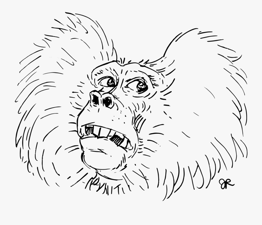 Transparent Baboon Png - Common Chimpanzee, Transparent Clipart
