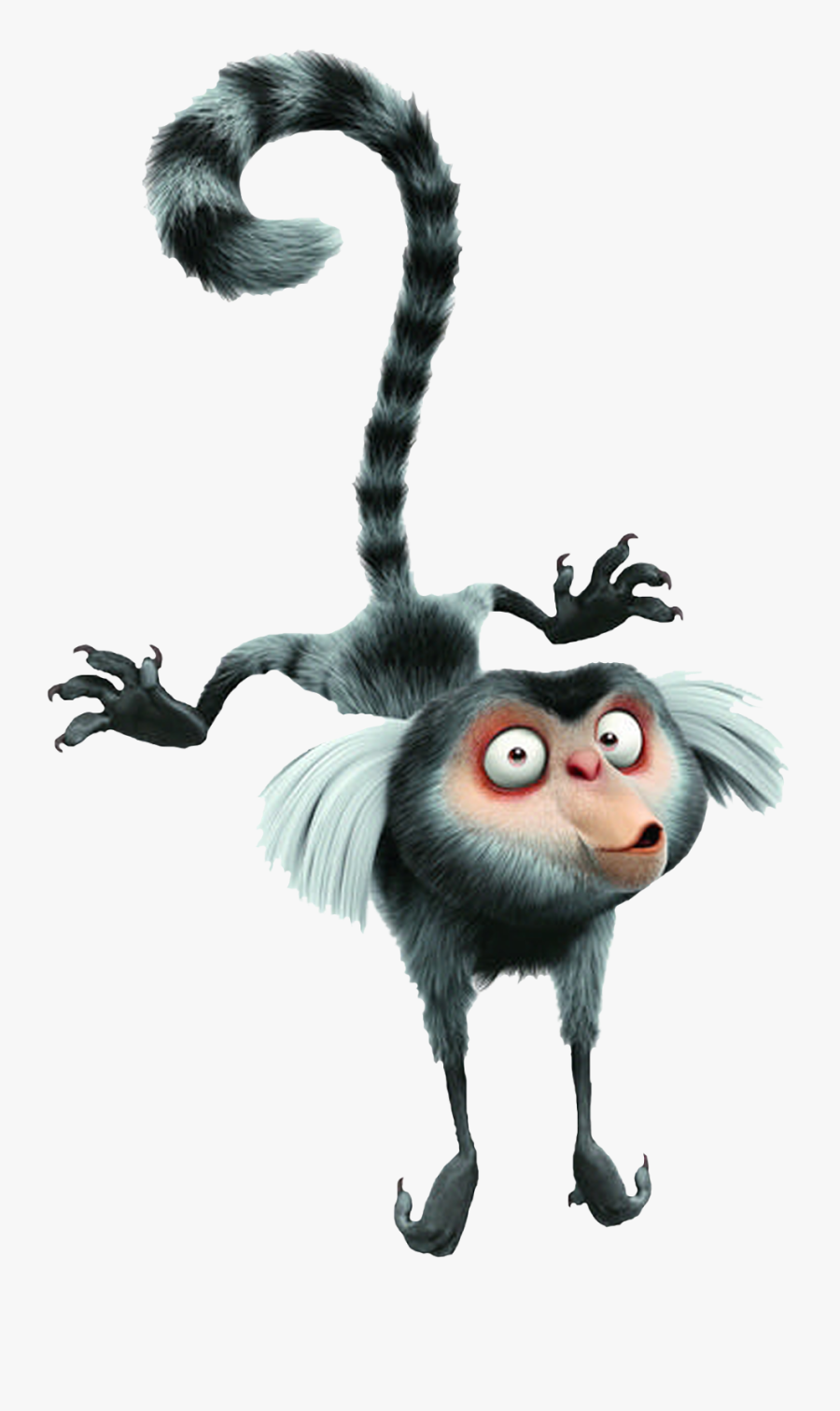 Rio Marmoset, Transparent Clipart