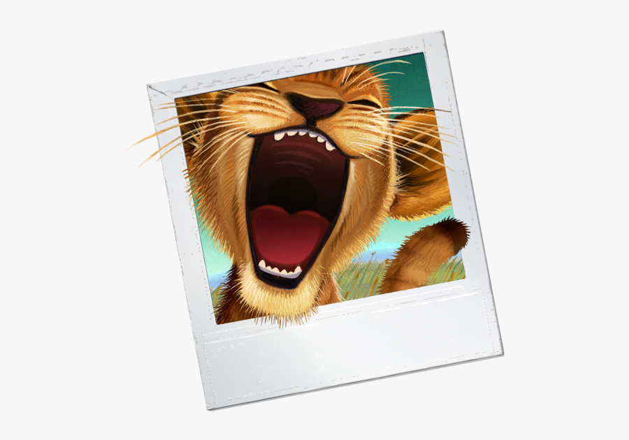 Vbs In The Wild 2019, Transparent Clipart