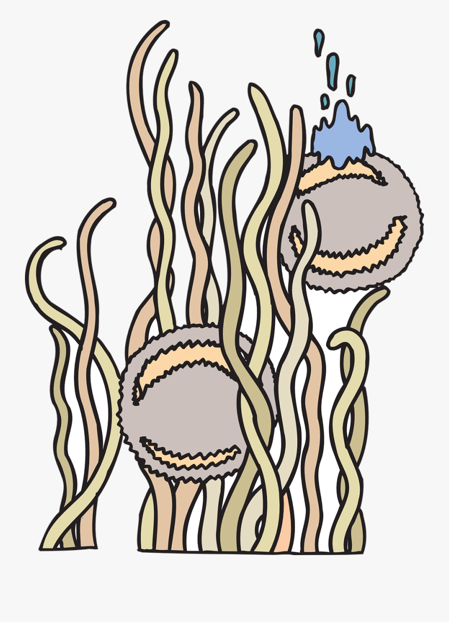 Floating Anemone Creatures Free Picture - Anemone Laut Png, Transparent Clipart