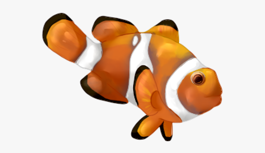 Clip Art Illustration Vector Graphics Clownfish Drawing - Coral Reef Fish, Transparent Clipart