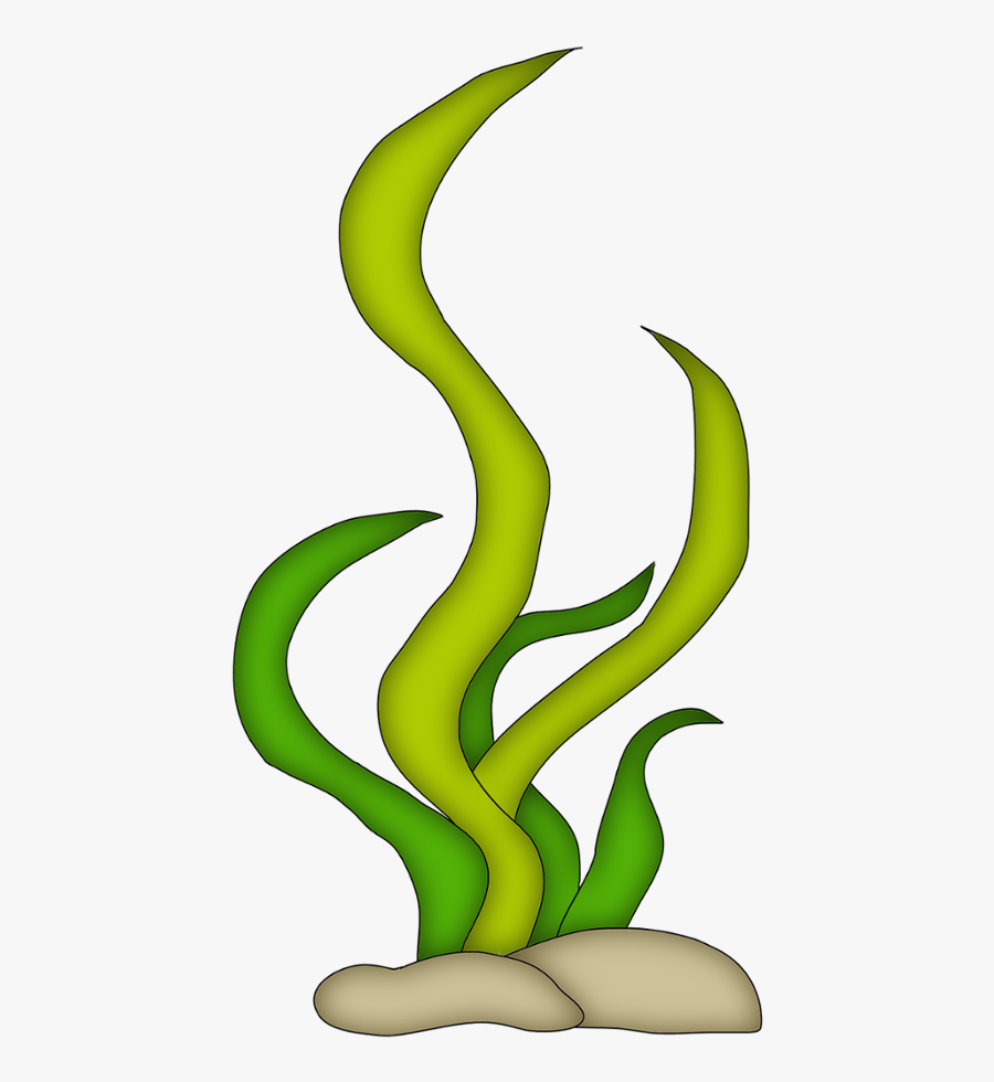 Art, Transparent Clipart