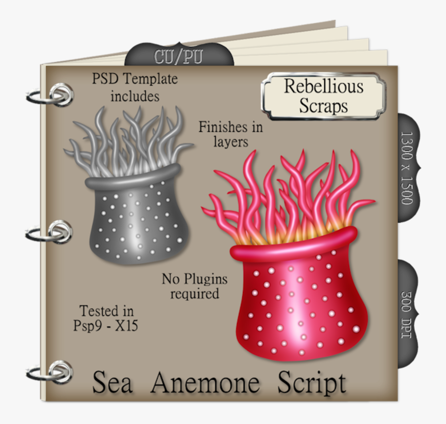 University Of Colorado Boulder, Transparent Clipart