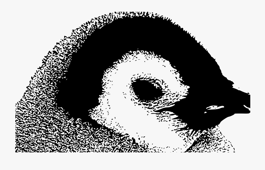 Emperor Penguin Chick By Struthious Bandersnatch - Illustration, Transparent Clipart