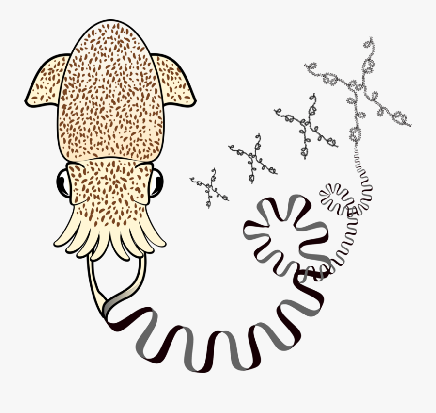 Illustration, Transparent Clipart