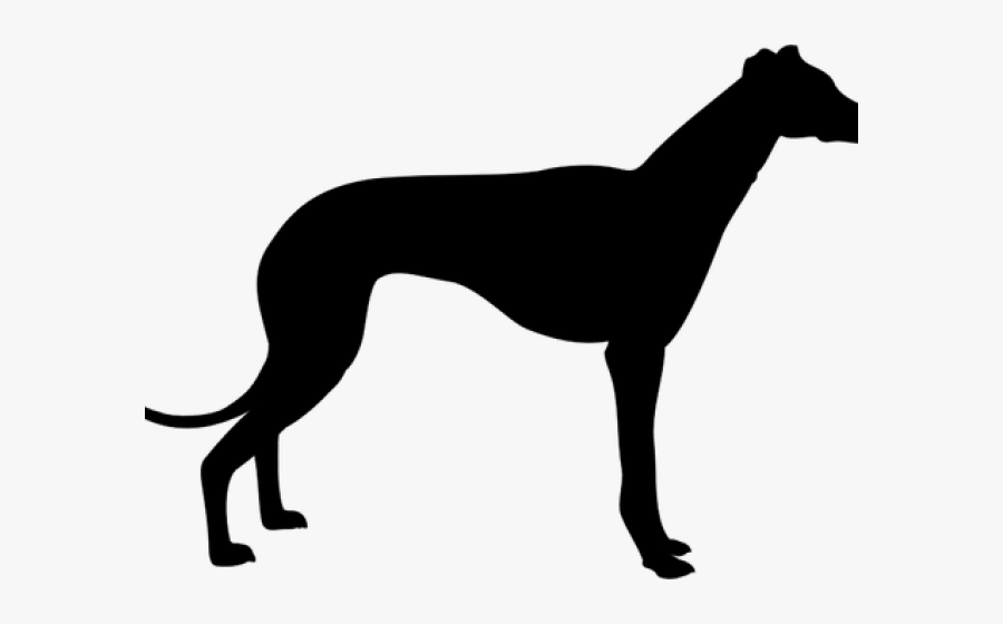 Greyhound Silhouette, Transparent Clipart