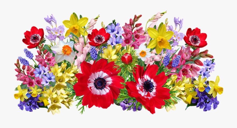 Flowers, Arrangement, Spring, Bulbs, Anemone, Garden - Bouquet, Transparent Clipart