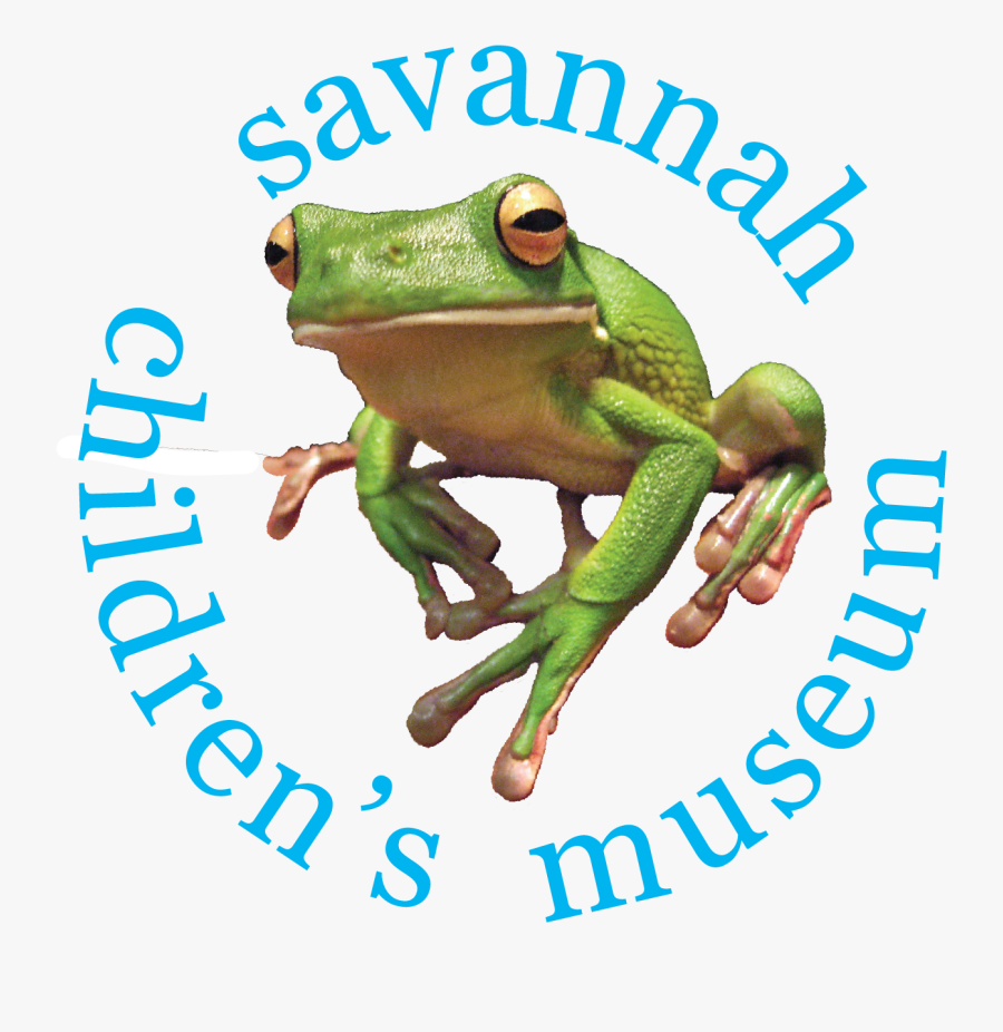 Stay Tuned Clipart , Png Download - White Lipped Tree Frog, Transparent Clipart