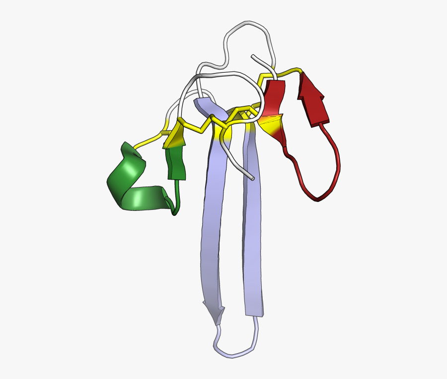 Mambalgin, Transparent Clipart